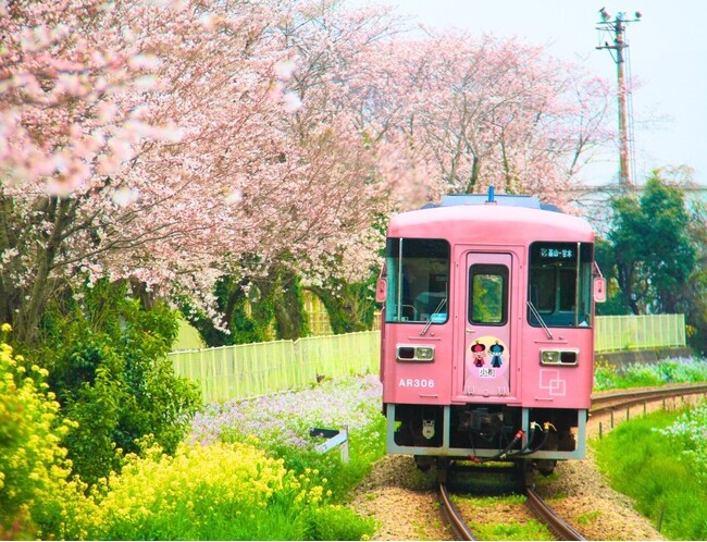 【福岡県小郡市】映え列車 