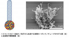 ハイエントロピー合金からのカーボンナノチューブ合成に成功―エレクトロニクス分野への応用に期待―