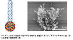 【名城大学】ハイエントロピー合金からのカーボンナノチューブ合成に成功―エレクトロニクス分野への応用に期待―