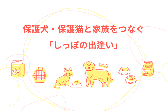 保護犬・保護猫と新しい家族をつなぐカインズのオンラインマッチングサービス「しっぽの出逢い」がスタート