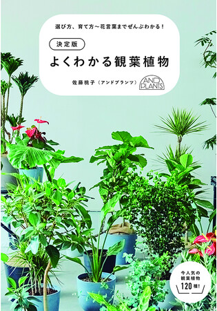 部屋の空気も浄化され、緑の生命力に日々パワーをもらえる! 「緑のある暮らし、いいかも」と思ったときが始めどきです。『選び方、育て方～花言葉までよくわかる! 決定版　よくわかる観葉植物』4月8日発売!