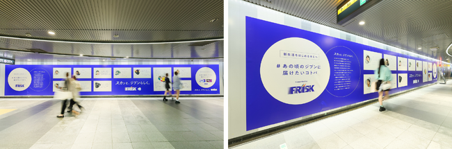 FRISK「#あの頃のジブンに届けたいコトバ」 プロジェクトを開始　尾崎世界観さん、アユニ・Dさん、imaseさん、ぼる塾ほか総勢11組が参加