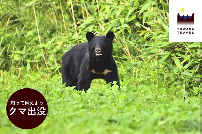 クマ出没の対処法を講じる十和田奥入瀬観光講座は4月19日に開催