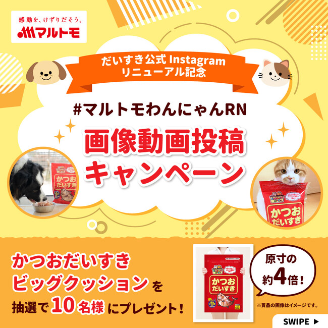 マルトモ　だいすきシリーズ公式Instagramをリニューアル！「かつおだいすきビッグクッション」が当たるキャンペーンを開催