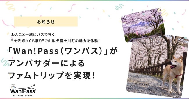 「Wan!Pass（ワンパス）」がアンバサダーによるファムトリップ※を実現！わんこと一緒にバスで行く”大法師さくら祭り”で富士川町の魅力を体験～参加者の100％が「もう一度訪れたい」と回答～
