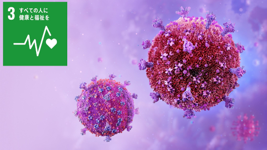 細胞内のHIVウイルス動態を高精度で可視化する新規感染系を確立～HIV感染の治癒を目指した研究の有用なツールになることが期待～