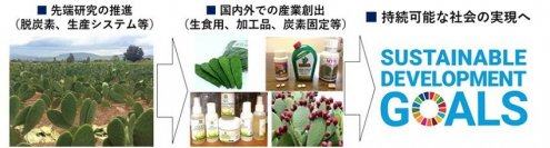 【中部大学】中部大学 サボテン・多肉植物研究センターを新設---脱炭素技術や持続可能な食料・飼料生産システムを開発、「持続可能な社会」実現へ---