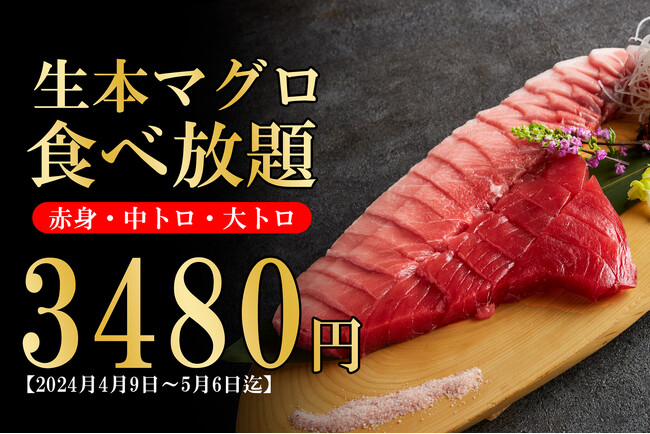 【生本マグロ食べ放題3480円】生本マグロの