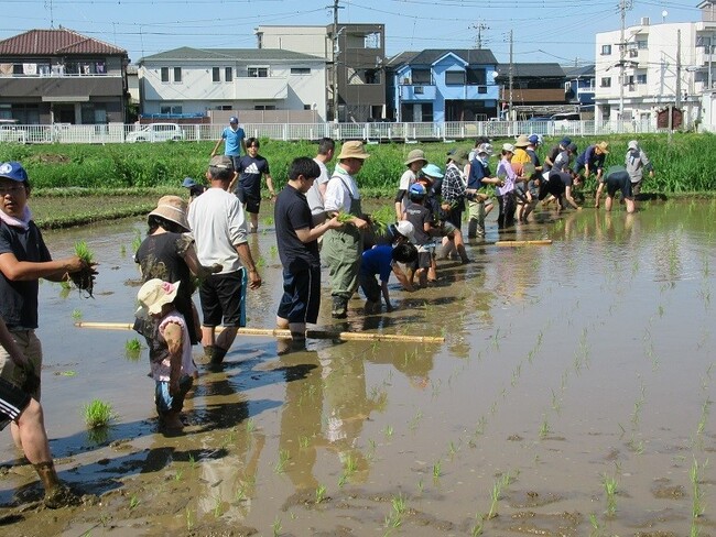 令和6年度田んぼの学校開催！