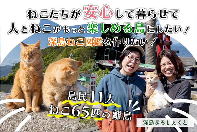 【クラウドファンディングスタート】深島ねこ図鑑vol.3を製作して人もねこも安心できる島に【島民11人の離島の挑戦】