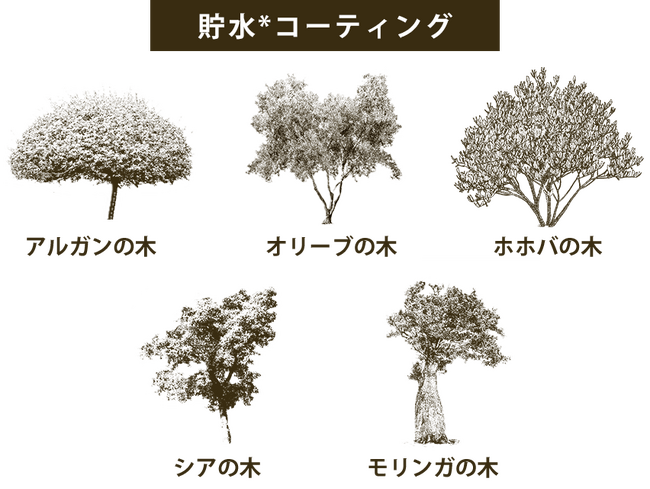 樹木のチカラ・植物×サイエンス 『ｂｙＴＲＥＥＳ（バイツリーズ）』うるモイストシリーズから、季節限定の香りが発売！“しっとりと素直でみずみずしくまとまる うるとぅる貯水*髪へ”