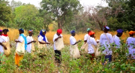 日本製 国際フェアトレード認証コットンタオル 発売から10年 SDGsな社会を目指した取り組み。5月のフェアトレード月間にてキャンペーンや新商品を展開 日本製 国際フェアトレード認証コットンタオル 発売から10年 SDGsな社会を目指した取り組み。5月のフェアトレード月間にてキャンペーンや新商品を展開