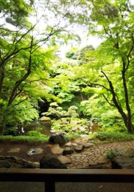 殿ヶ谷戸庭園の眺め 殿ヶ谷戸庭園の眺め