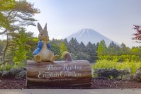 ピーターラビット(TM) イングリッシュガーデンの本年度の営業を4月13日(土)に開始！