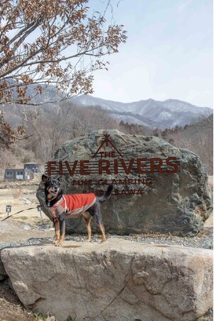 最高のリトリートを体験できる THE FIVE RIVERS FINE GLAMPING 群馬 白沢　　毎月１日は愛犬家デー”わんの日”　宿泊予約でスペシャルなプレゼントや特典をGETしよう！