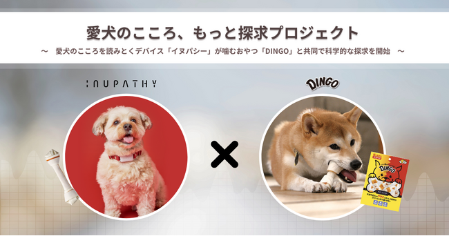 愛犬のこころ・もっと探求プロジェクト開始！現代犬がストレスなく幸せに暮らすために必要なことは？～愛犬のこころを読みとくデバイス「イヌパシー」が噛むおやつ「DINGO」と共同で科学的な探求を開始～