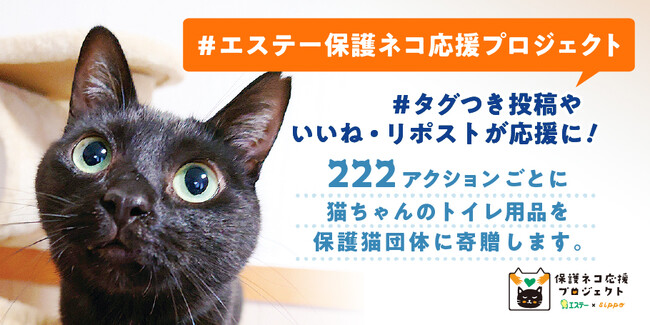 【エステー】全ての猫が幸せに暮らせる社会の実現を目指すエステー「保護ネコ応援プロジェクト」2年目がスタート