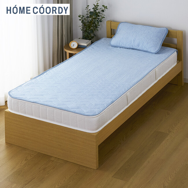 ホームコーディ ２０２４年「コールドシリーズ」本格展開