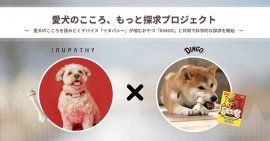 愛犬のこころ・もっと探求プロジェクト開始! 愛犬のこころ・もっと探求プロジェクト開始!