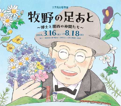 六甲高山植物園『牧野の足あと ～博士と関西の仲間たち～』 ～8月18日(日)まで好評開催中 牧野博士と関西の仲間たちがカラー画像でよみがえる！
