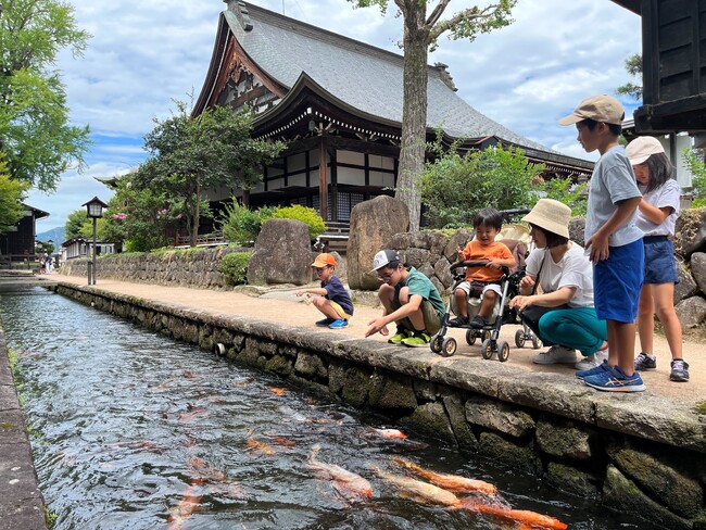【岐阜県飛騨市】春到来！1000匹の鯉が飛騨古川「瀬戸川」に帰ってきました！