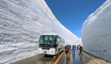 富山県と長野県とを結ぶ立山黒部アルペンルート、4月15日(月)に全線開通！今年の雪の大谷の高さは14m！