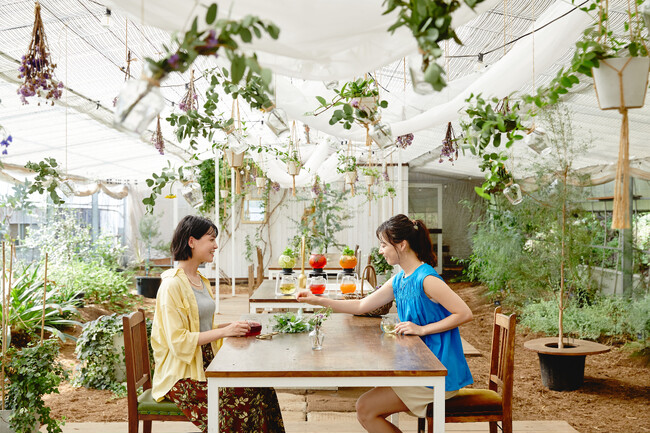 【星野リゾート　リゾナーレ那須】爽やかに香るハーブに囲まれ、リフレッシュする「ハーブティーアペロ」今年も開催｜期間：2024年6月13日～7月21日