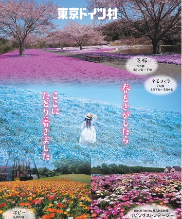 春の花々が東京ドイツ村を彩ります