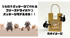 SDGｓ対応次世代もの作りサービス「fabme（ファブミー）」の新商品「フリーズドライおやつ」のパッケージモデル募集