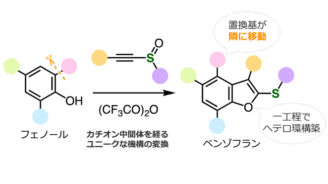 置換基が密集したベンゾフランを簡便合成する手法を開発 ～ベンゼン環上の置換基が隣接炭素に移動するユニークな反応機構～