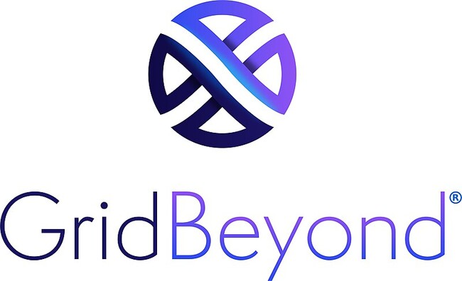 グローバルITエネルギーソリューションカンパニーのGridBeyond、シリーズCラウンドで総額約5,200万ユーロ(約85億円)の資金調達を実施