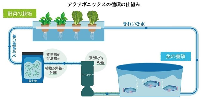 ベンチャーと大企業の連携プロジェクトが事業化に取り組みます！