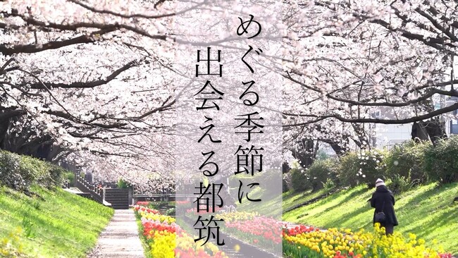 春夏秋冬見どころたくさん！　横浜市都筑区季節の魅力PR動画「めぐる季節に出会える都筑」を作成しました！