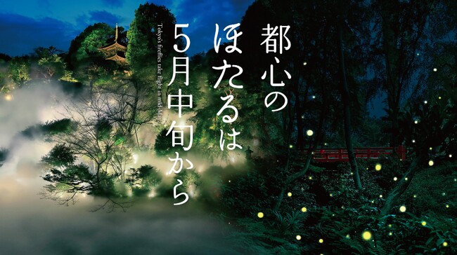 【ホテル椿山荘東京】東京の蛍は5月から！夜の庭園に蛍が舞う初夏の風物詩今年70周年を迎える「ほたるの夕べ」を5月17日よりスタート