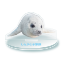 アクリルスタンド(イメージ)