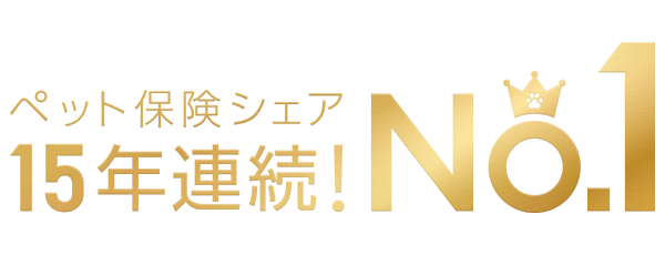 アニコム損保、15年連続でペット保険の国内シェアNo.1獲得