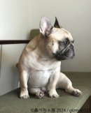 展示作品2 展示作品2