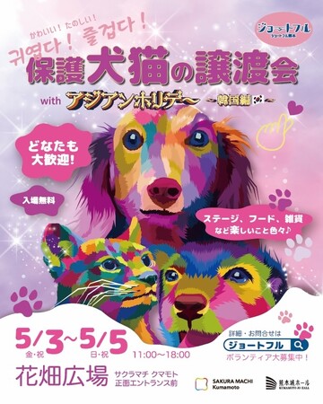 ジョートフル熊本プロジェクト、「韓国っぽ」な保護犬猫譲渡会イベントを開催!