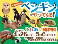 近鉄四日市店にペンギンがやってくる!ふれあい動物園