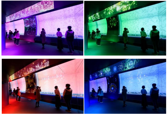 【アクアワールド茨城県大洗水族館】美しき四季を感じられるクラゲ大水槽にうっとり『ゴールデンウィークはアクアワールド・大洗で楽しもう！』