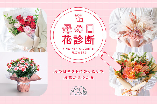 母の日ギフトにぴったりのお花が見つかる！アンドプランツ、母の日に向けた新機能「パーソナル花診断」を4月18日（木）より期間限定で公開