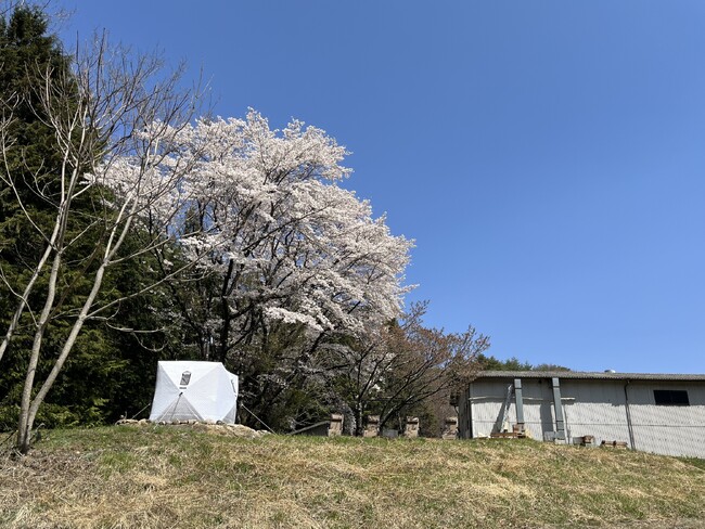 テントサウナ利用で貸切キャンプ無料1日1組限定！　“杜の工場サウナ”の テントサウナが今年もGWから始動！“今年はなんとサウナに入るとキャンプが無料！？話題沸騰中！