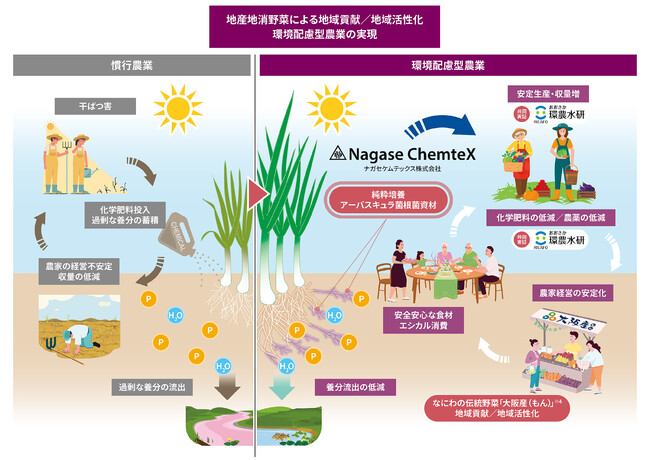 環境配慮型農業の実現と高温下での安定生産、地産地消野菜による地域貢献及び地域活性化をめざし、微生物農業資材を用いた大阪産（もん）の減肥料栽培の共同研究を開始