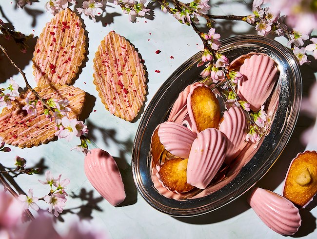春満開！東京・名古屋・大阪・福岡の4大都市で味わう、心華やぐ桜のスイーツをラグジュアリーカードが毎日無料でプレゼント