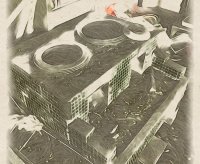 専門家を招いて特別講演「ガザ・イスラエルそして福音派」を開催