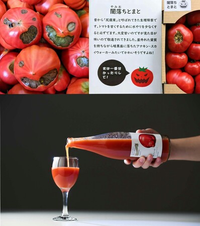 日本初の複合現実(MR)とまと投げで「にいがたとまと」 の魅力をつたえるイベントを開催