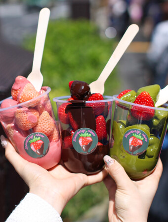 《ついに関西上陸》生チョコたっぷりで外国人に大人気！原宿で行列の【Strawberry choco】京都店　4/27グランドオープン致します。