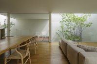 まるで森の中?中庭の緑に囲まれたカーテンのない暮らし