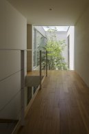 階段を上り2階のリビングへ行く途中、緑が目に飛び込む 階段を上り2階のリビングへ行く途中、緑が目に飛び込む