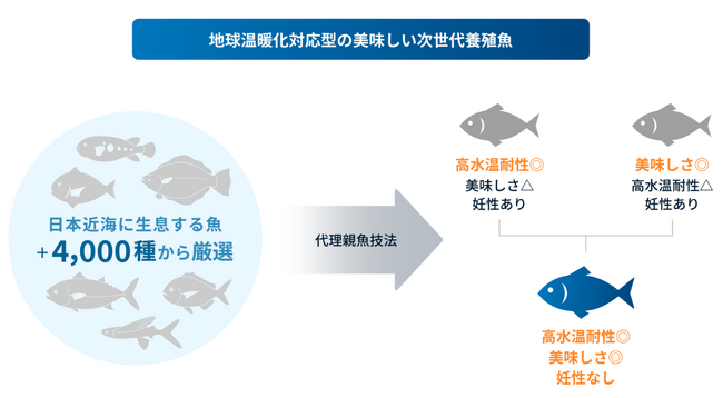 さかなドリーム、NEDOのDTSU事業（STSフェーズ）に採択